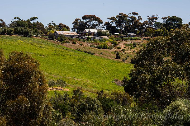 Near Chapel Hill Wines, Mclaren Vale IMGP7452.jpg